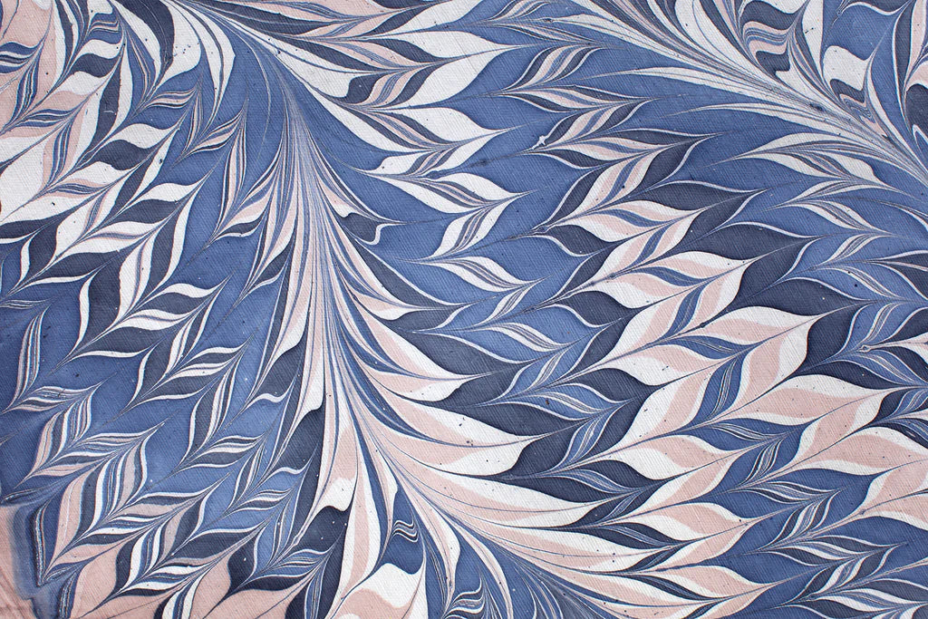 Pink and Blue Star Anise