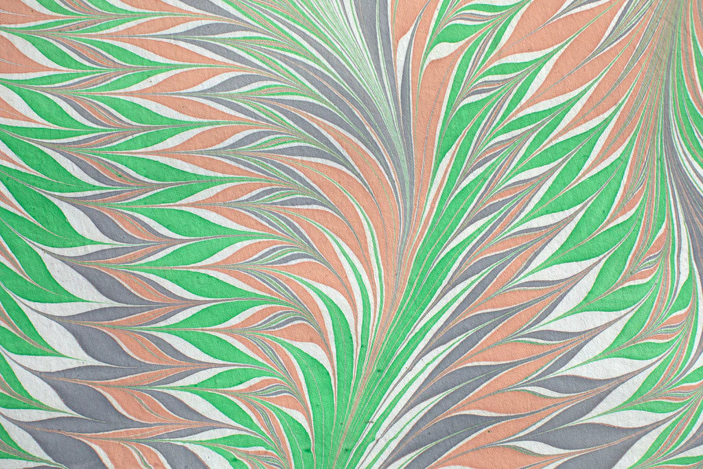 Pink and Green Star Anise