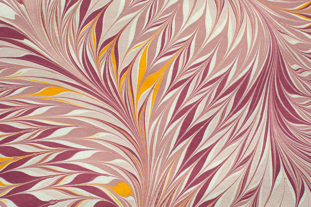 Pink and Yellow Star Anise