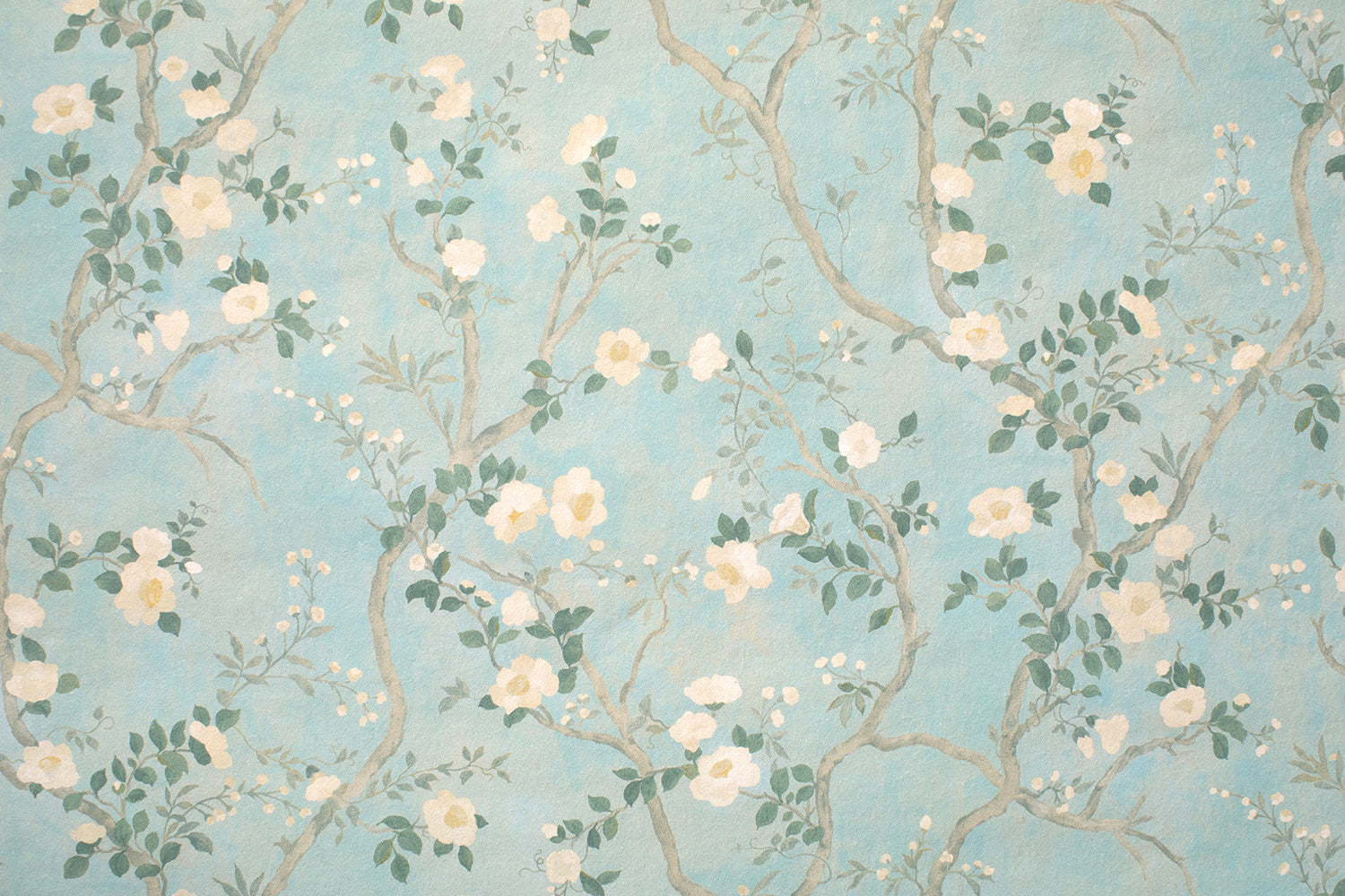 Camellia Petit in Sky Blue