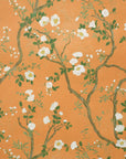 Camellia Petit in Apricot Orange