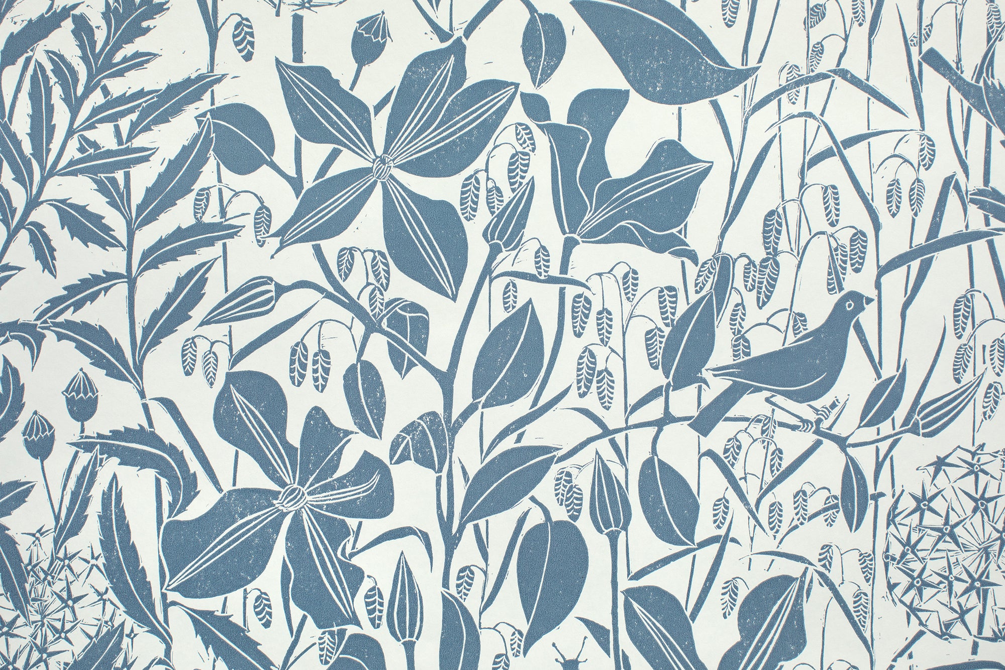 Clematis in Dutch Blue