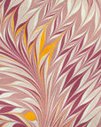 Pink and Yellow Star Anise