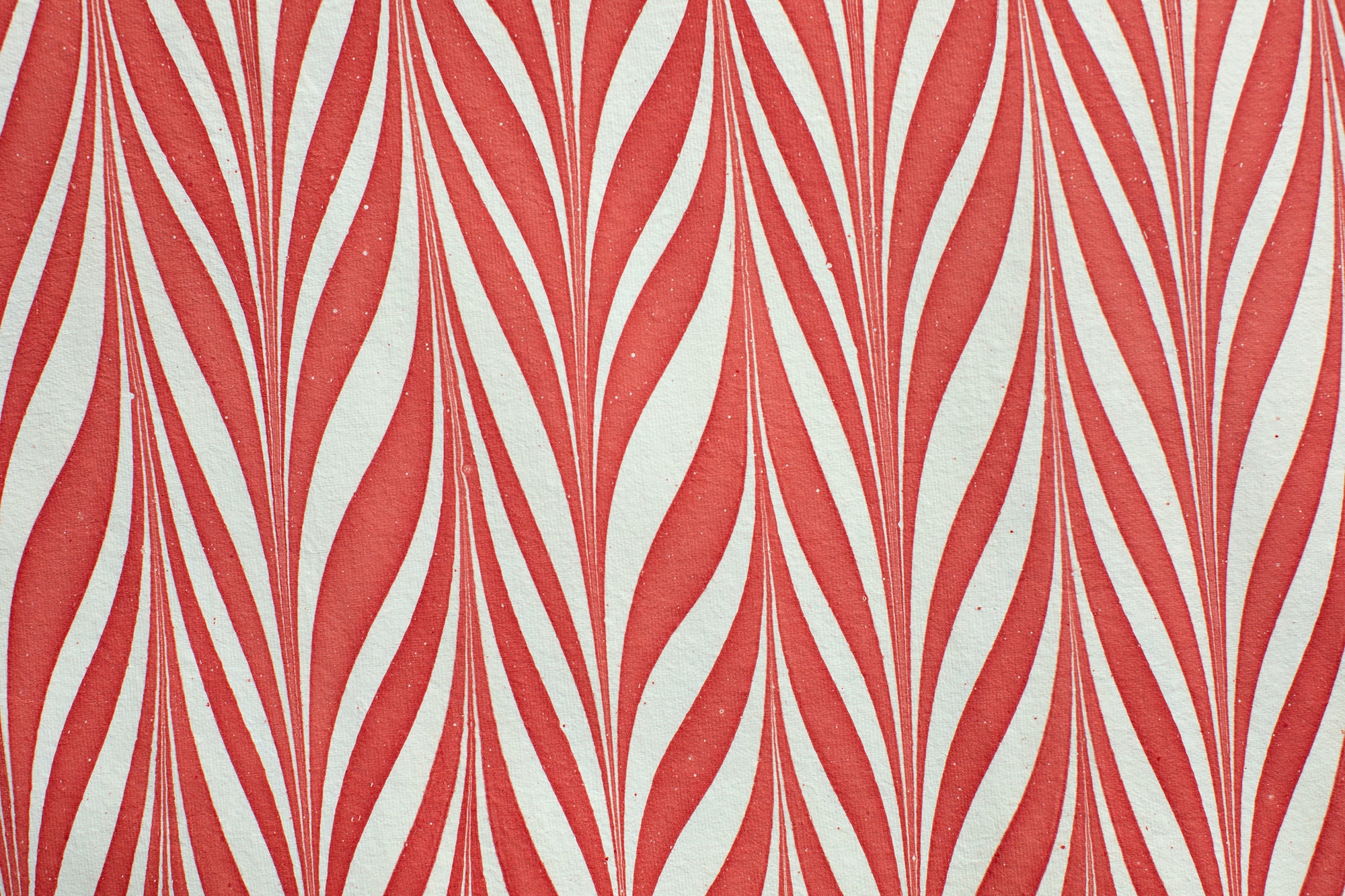 Red Banyan