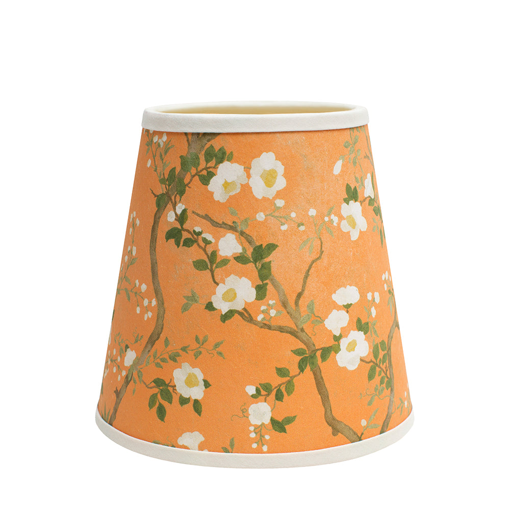 Camellia Petit in Apricot Orange